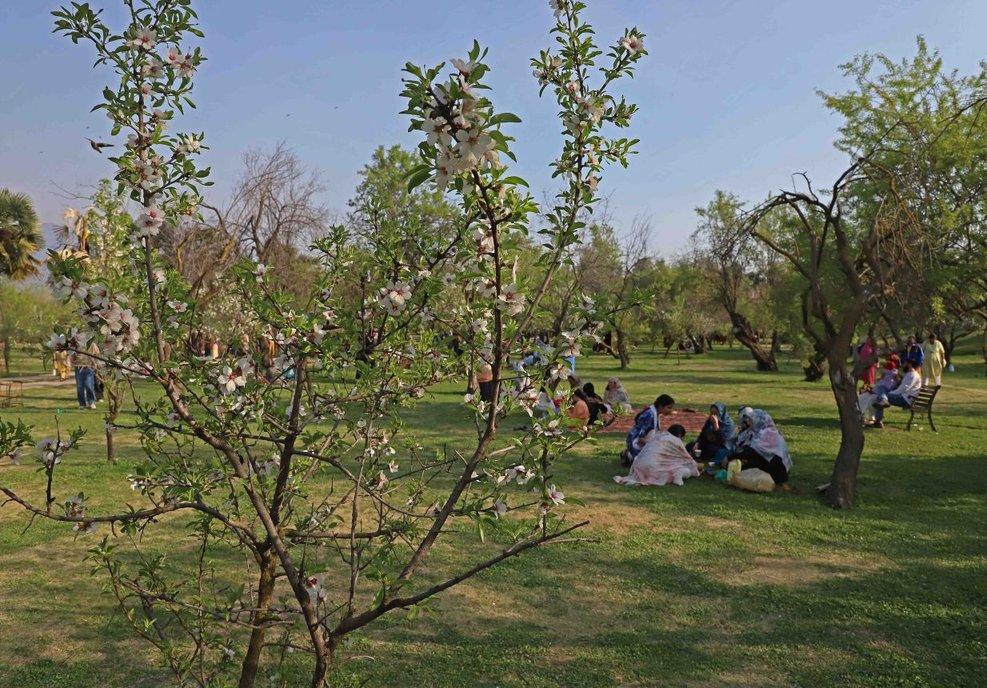 In Photos: Spring In Kashmir