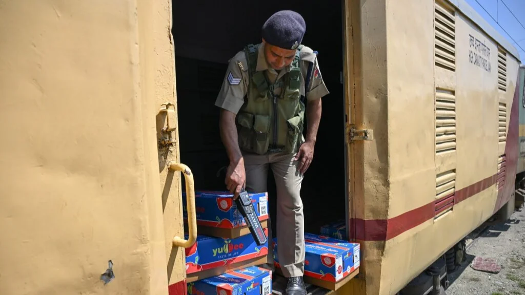 Kashmir Apples on Track, Growers Elated