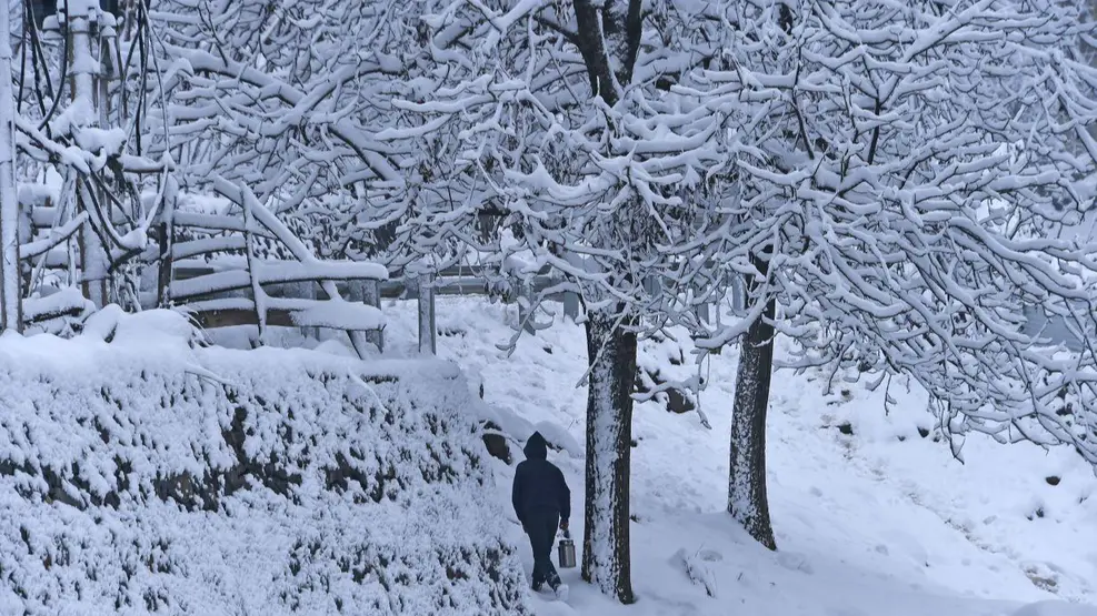 Fresh Snowfall Disrupts Life in Kashmir